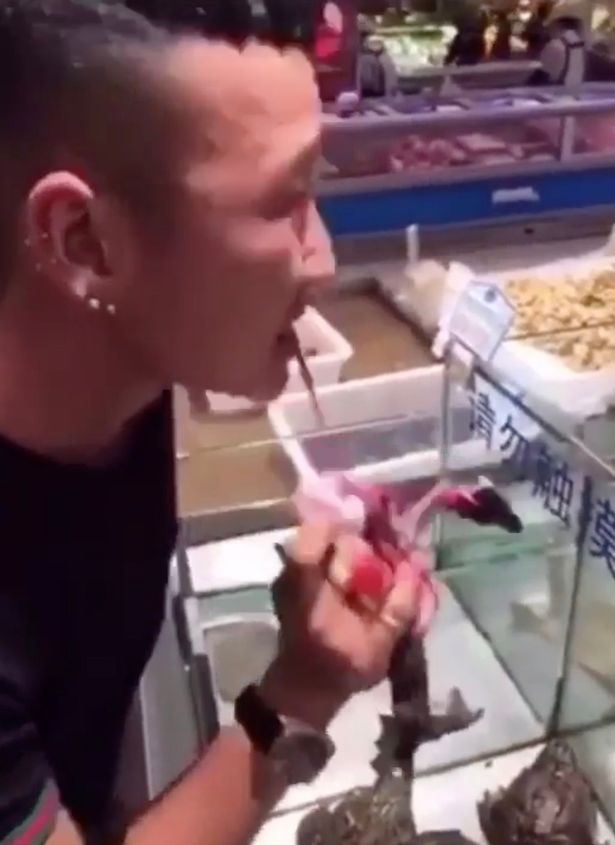 Chinese man eats live frog in sickening video - amid growing coronavirus fears