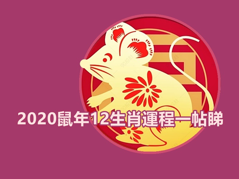 【2020年生肖运程】盘点今年气势如虹生肖 边个事业桃花当旺
