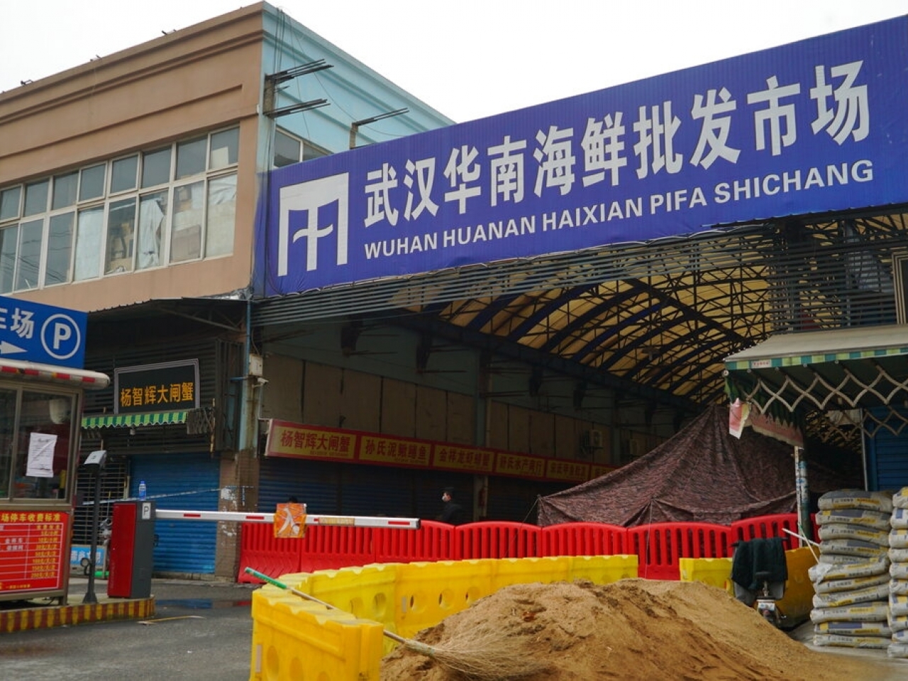 【新冠肺炎】华南海鲜市场存在大量新型冠状病毒 揭开幕后老闆真面目