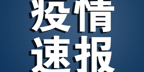 美国确诊病例超过93万，死亡超5.3万例