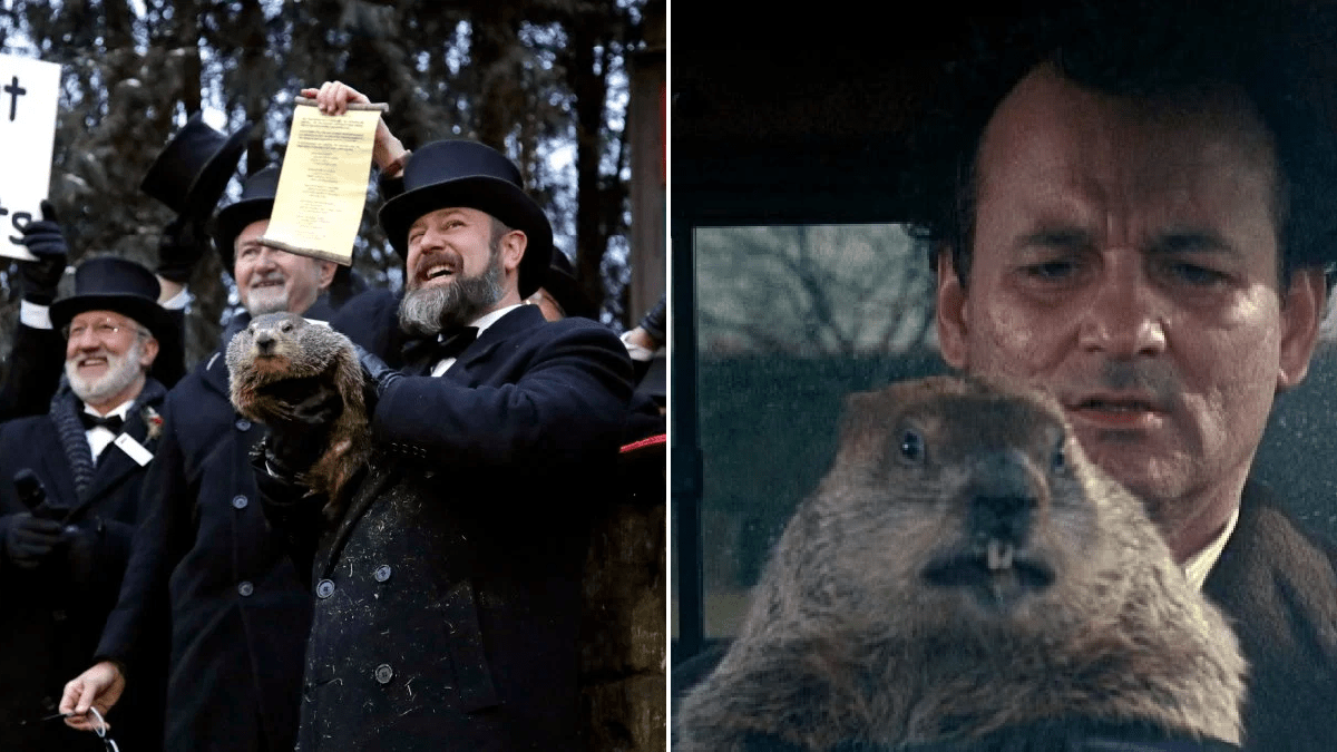 Peta wants iconic Groundhog Day groundhog to be replaced by a robot