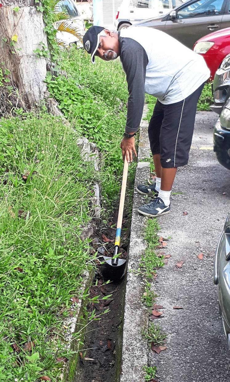 Keep premises clean to prevent mosquitoes from breeding, public told