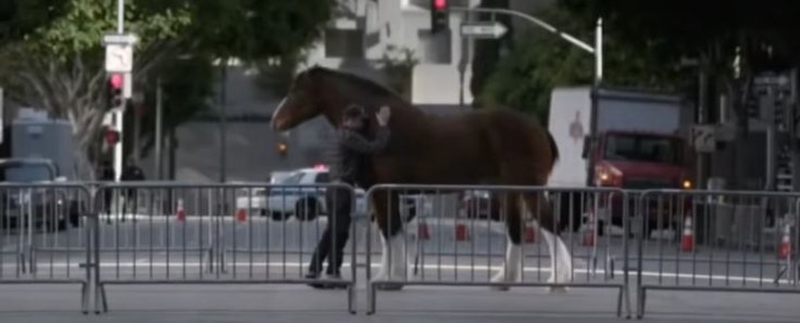Budweiser's 'Brotherhood' is Super Bowl's Greatest Commercial
