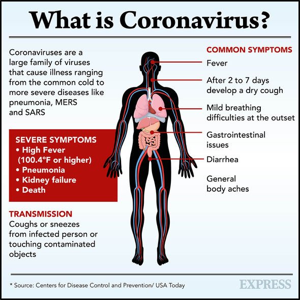 End of the world: Coronavirus panic and African locust plague spark Bible apocalypse fears