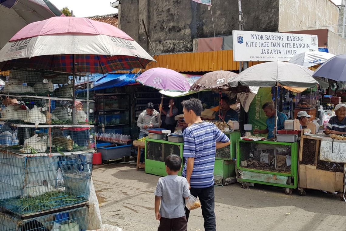 Wuhan virus: Mounting calls for ban on wildlife trade in Indonesia as coronavirus spreads globally