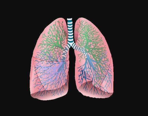 NEW FACT? Reason for coronavirus lethality is heart problem not lungs, says Italian doctor