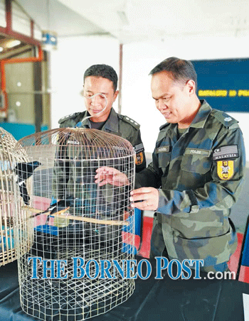 GOF rescues 30 caged protected birds in farmhouse