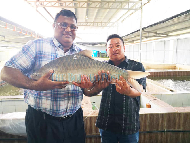 Unimas mulls aquaculture production initiative