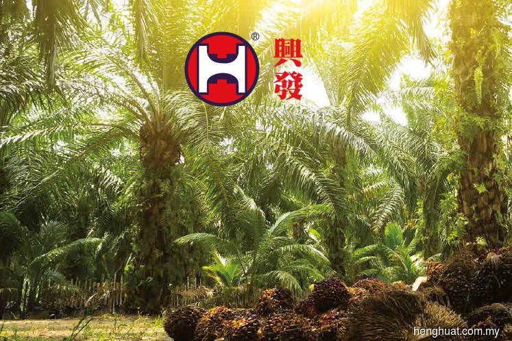 After removal as chairman, Ooi Chieng Sim suspended as Heng Huat director amid drug charges