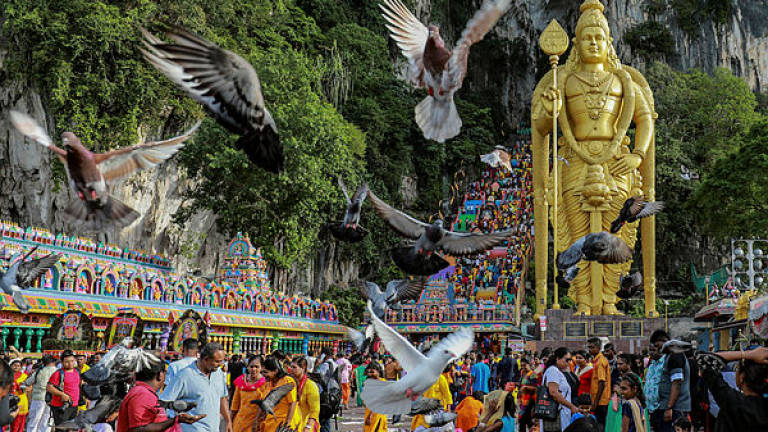 Thaipusam chariot procession to start from Sri Maha Mariamman Temple on Thursday