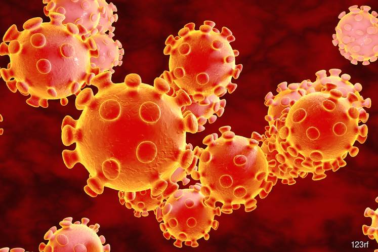 13 investigation papers opened on spread of fake news on Wuhan virus