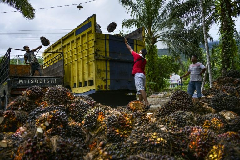 Indonesia economic growth slips to 5.02% In 2019