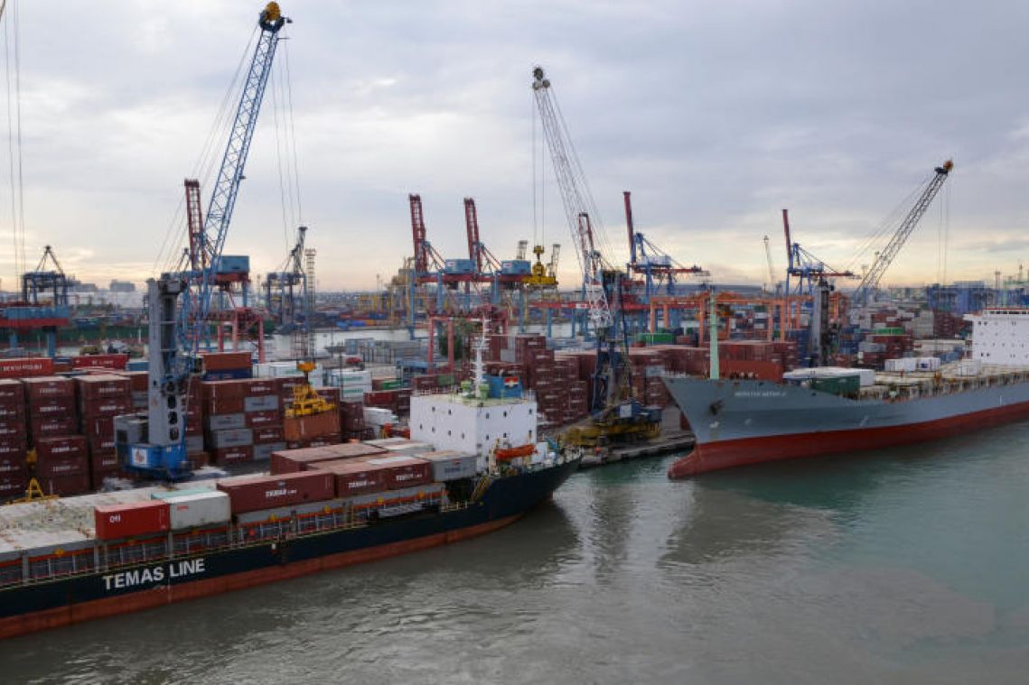 Coronavirus: Indonesia to suspend live animal imports from China
