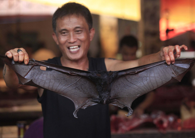 Restaurants in Indonesia take bat stew off menu for now amid coronavirus fears