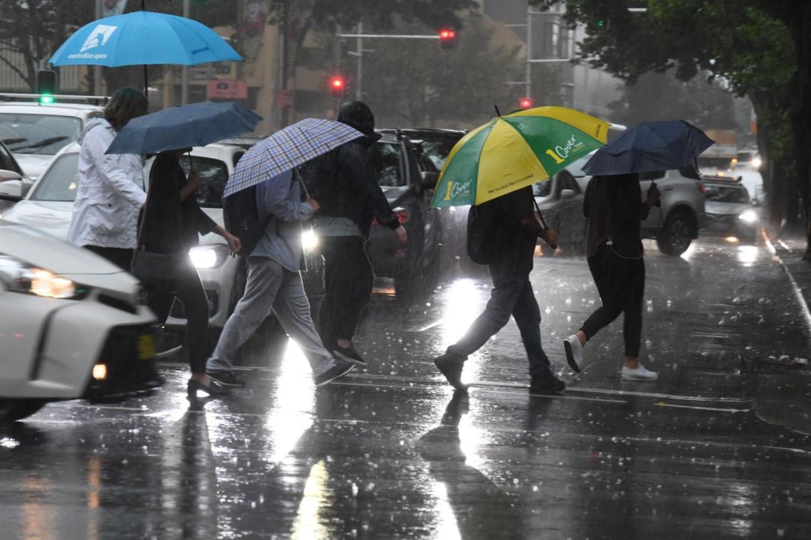 Australia celebrates as heavy rains dampen huge bush fires
