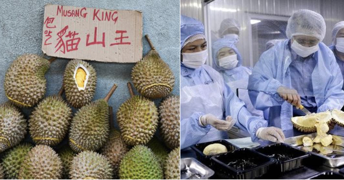 Local Durians Are Now Almost 50% CHEAPER Due To Coronavirus Outbreak In China