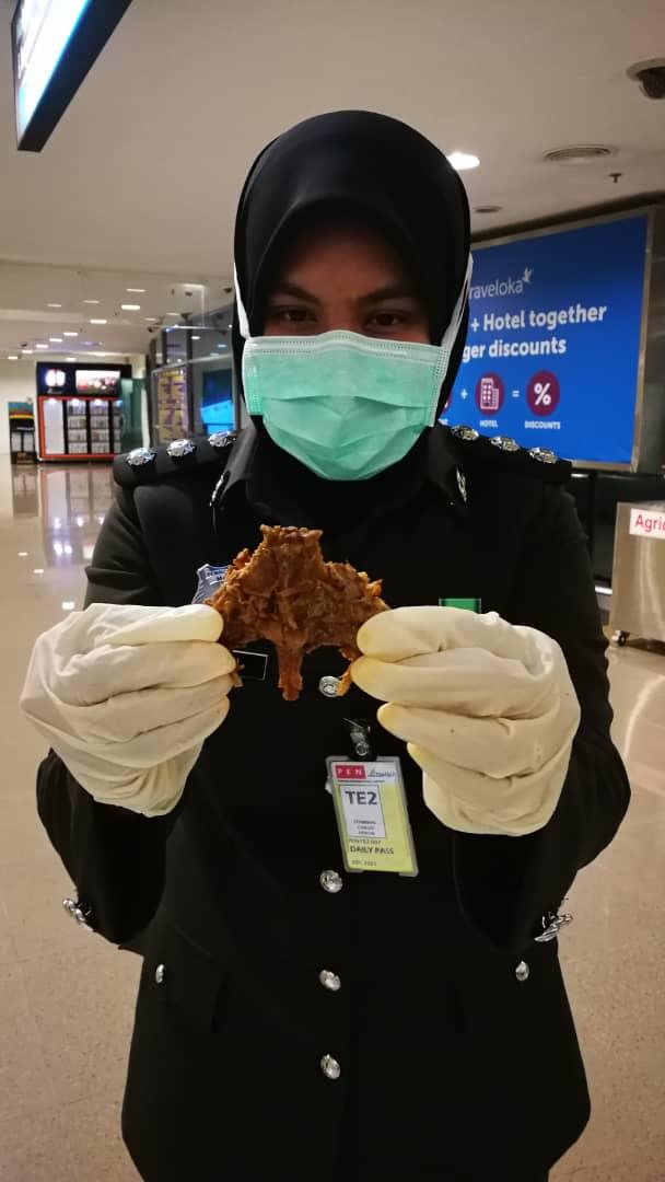缅甸男带老鼠肉干欲入境　被MAQIS拦下