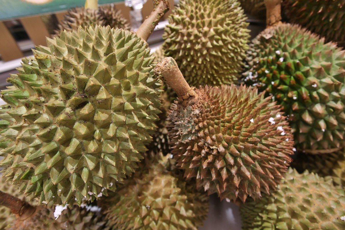 Coronavirus: Malaysian durian sellers count the cost as demand in China falls away