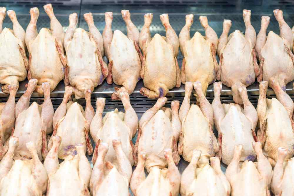 Malaysian man gets 16 months’ jail for stealing more than 10,000 fresh and frozen chickens from employer in Singapore