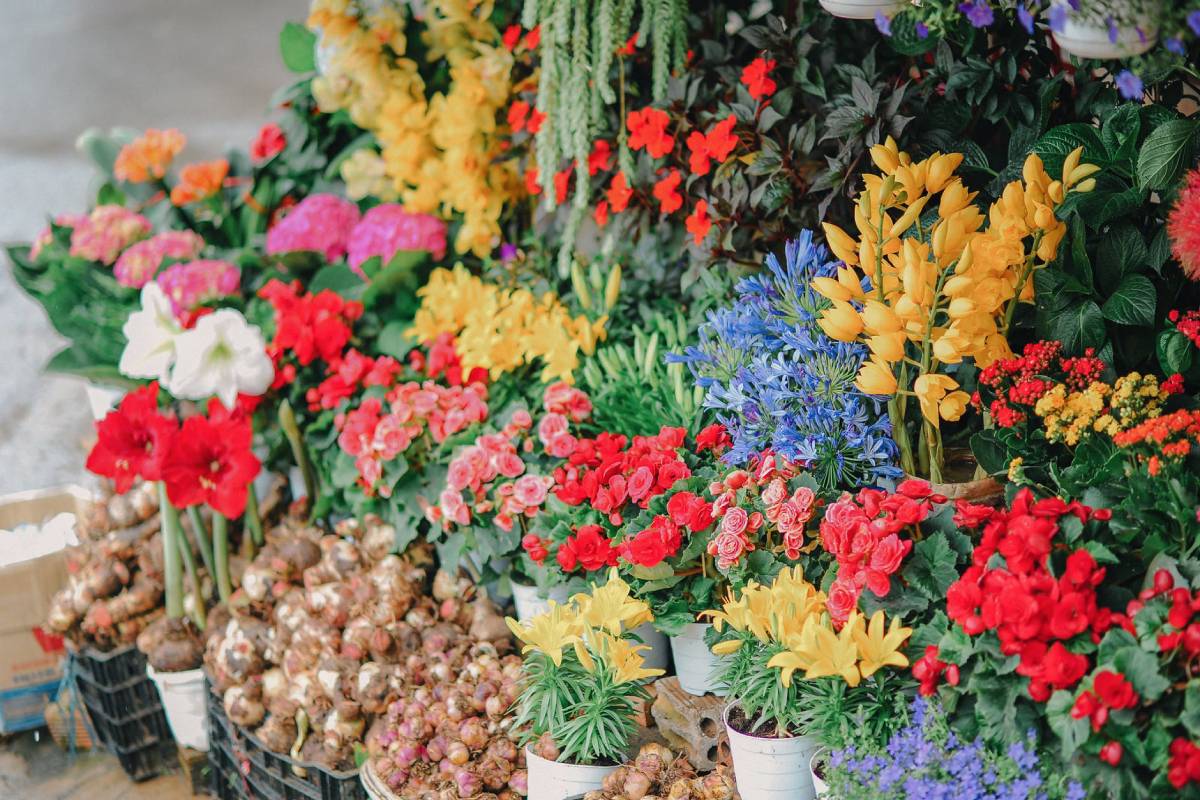 Say it with sanitiser: Beijing florist takes on coronavirus for Valentine's Day