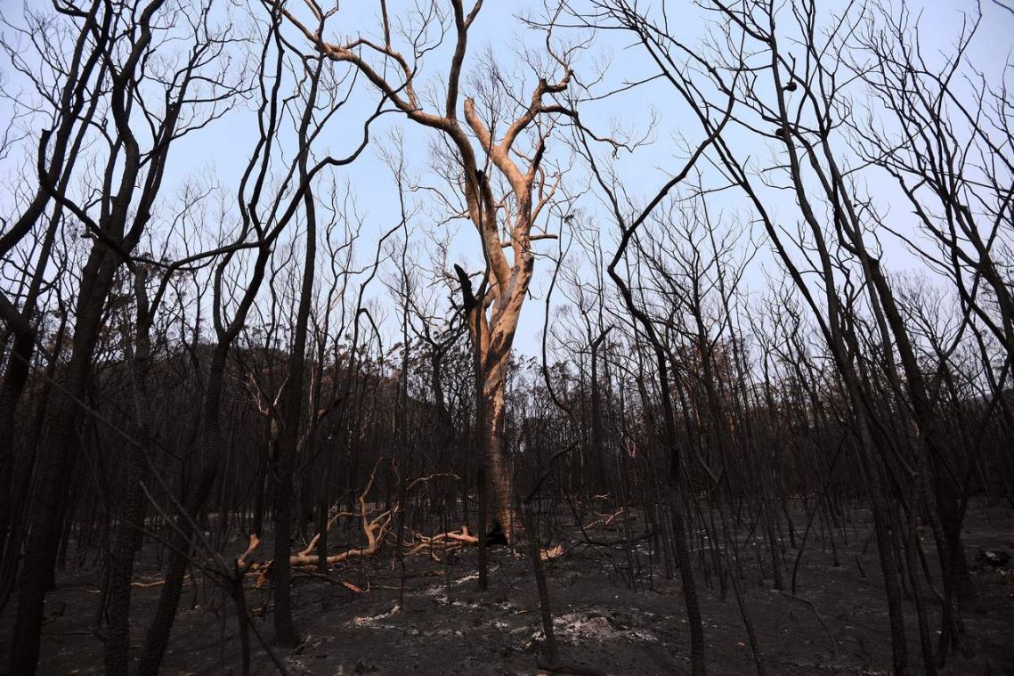 Australian bush fires extinguished, but climate rows rage on