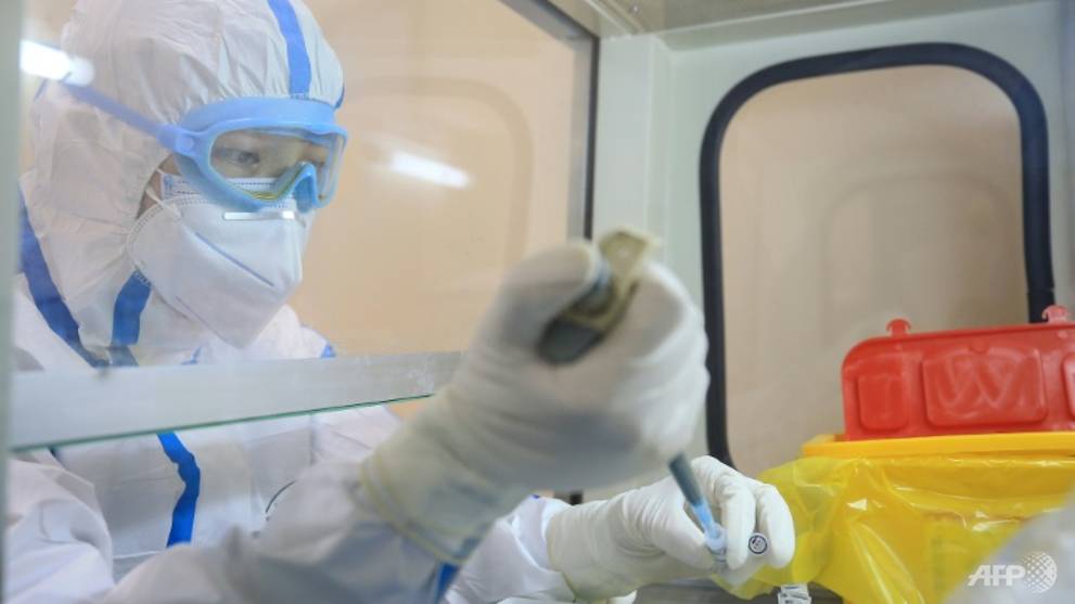 Potential COVID-19 vaccine from China shows promise in animal tests