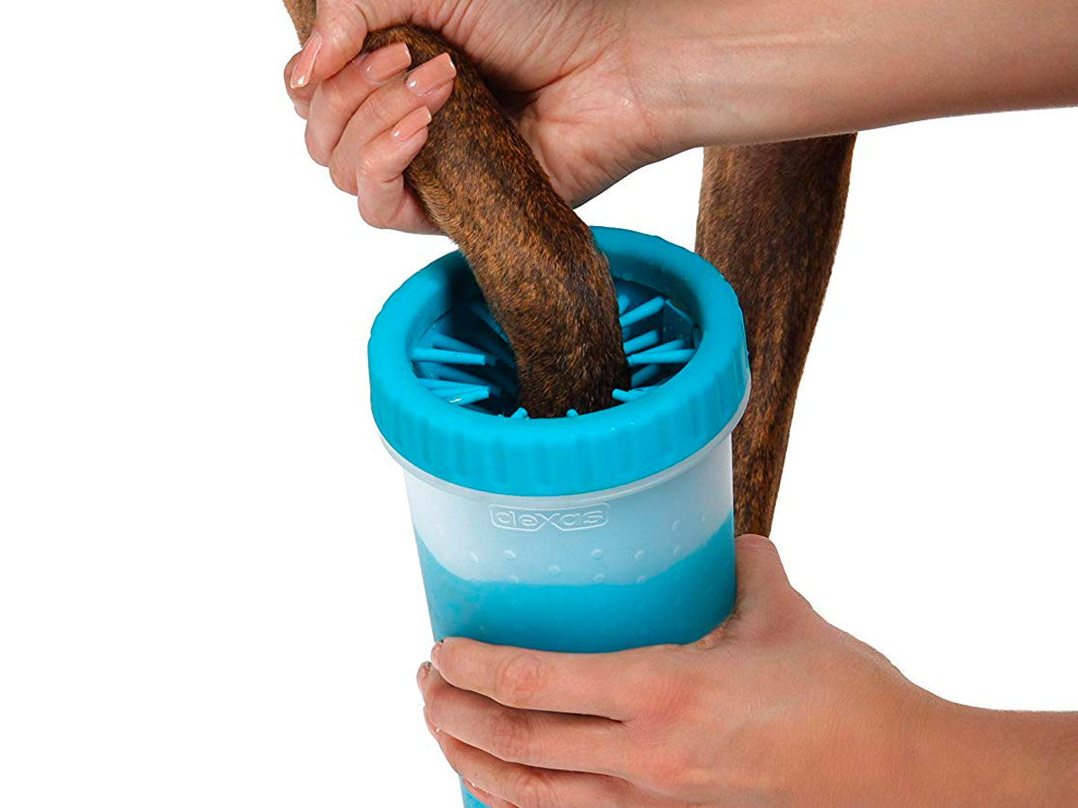 I clean my dog’s paws with this simple, easy-to-use product — it’s made the process less stressful for me and my dog