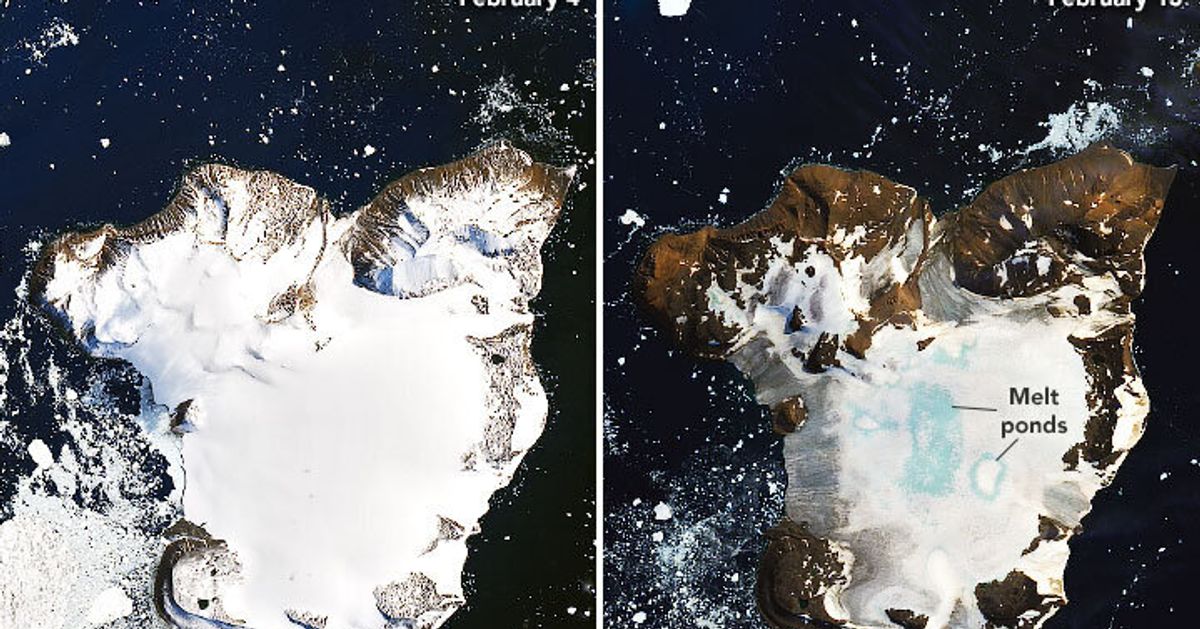 NASA Reveals Startling Images From Antarctica's 'Hottest Days On Record'