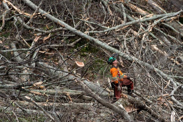 Supreme Court Seems Ready to Back Pipeline Across Appalachian Trail