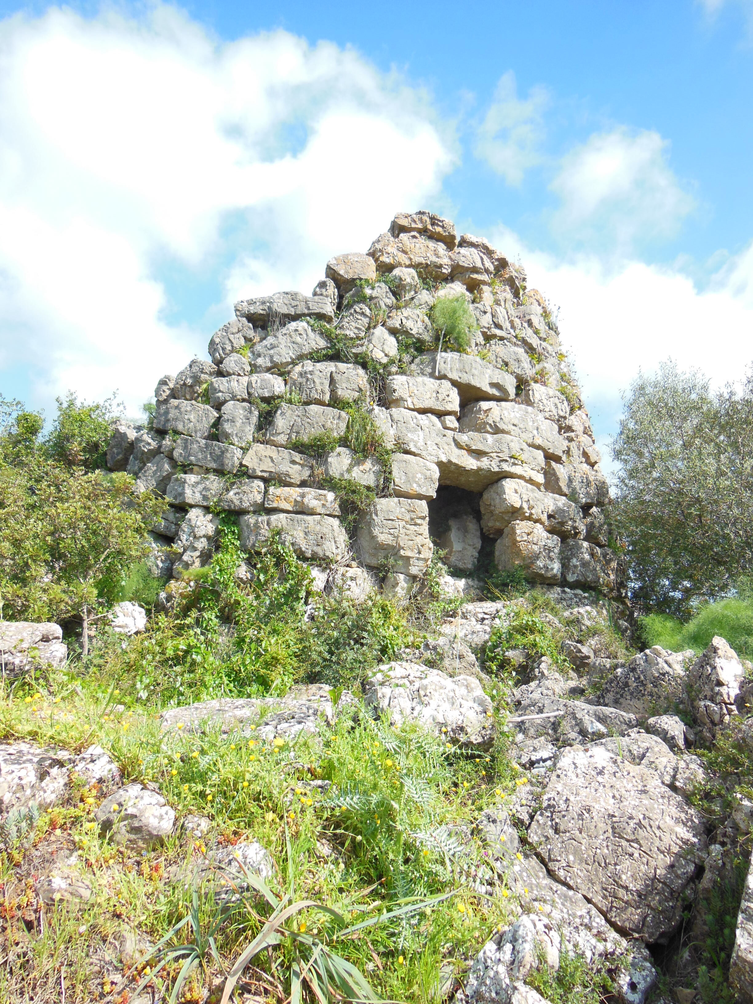 Ancient DNA from Sardinia reveals 6,000 years of genetic history