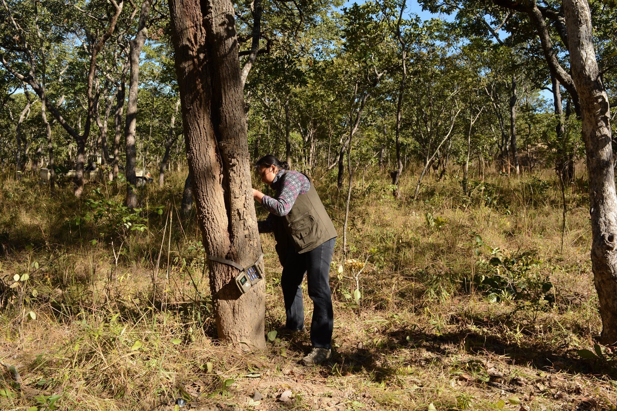 The do's and don'ts of monitoring many wildlife species at once