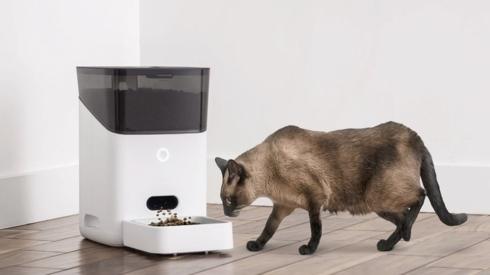 Pets 'go hungry' after smart feeder goes offline