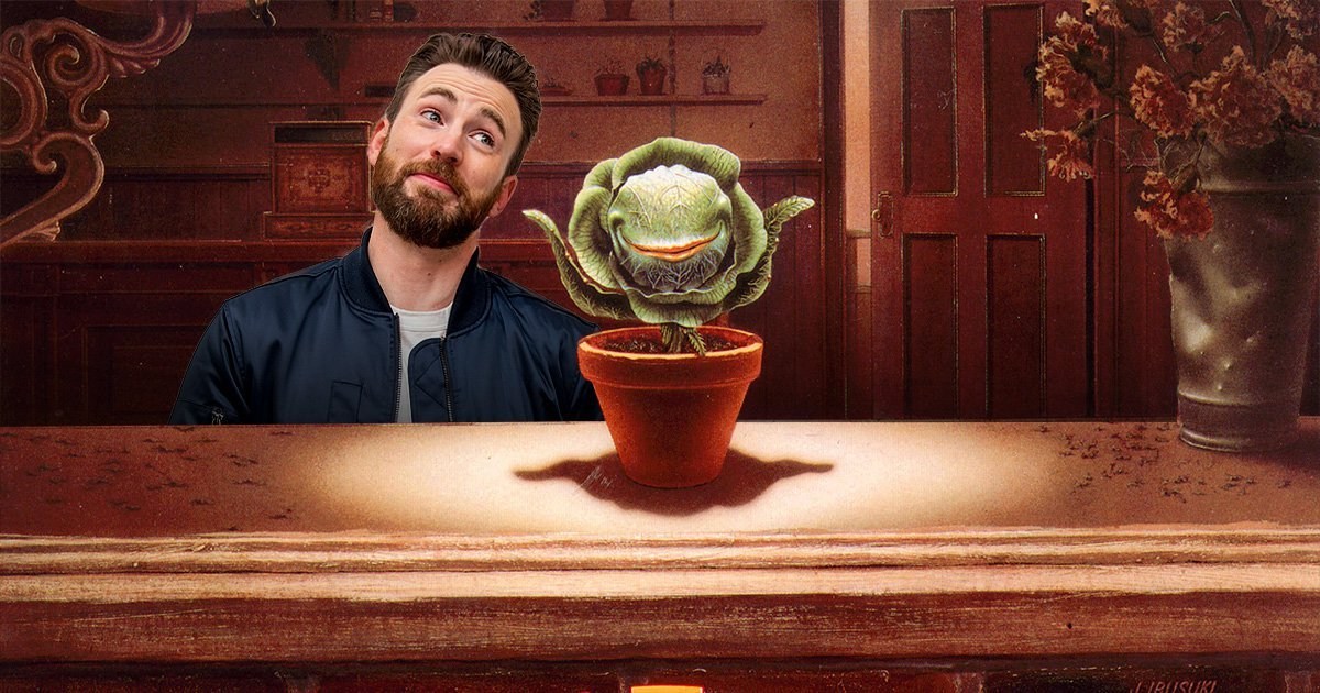 Chris Evans ‘in talks’ to star in Little Shop of Horrors movie remake as Dr Orin Scrivello