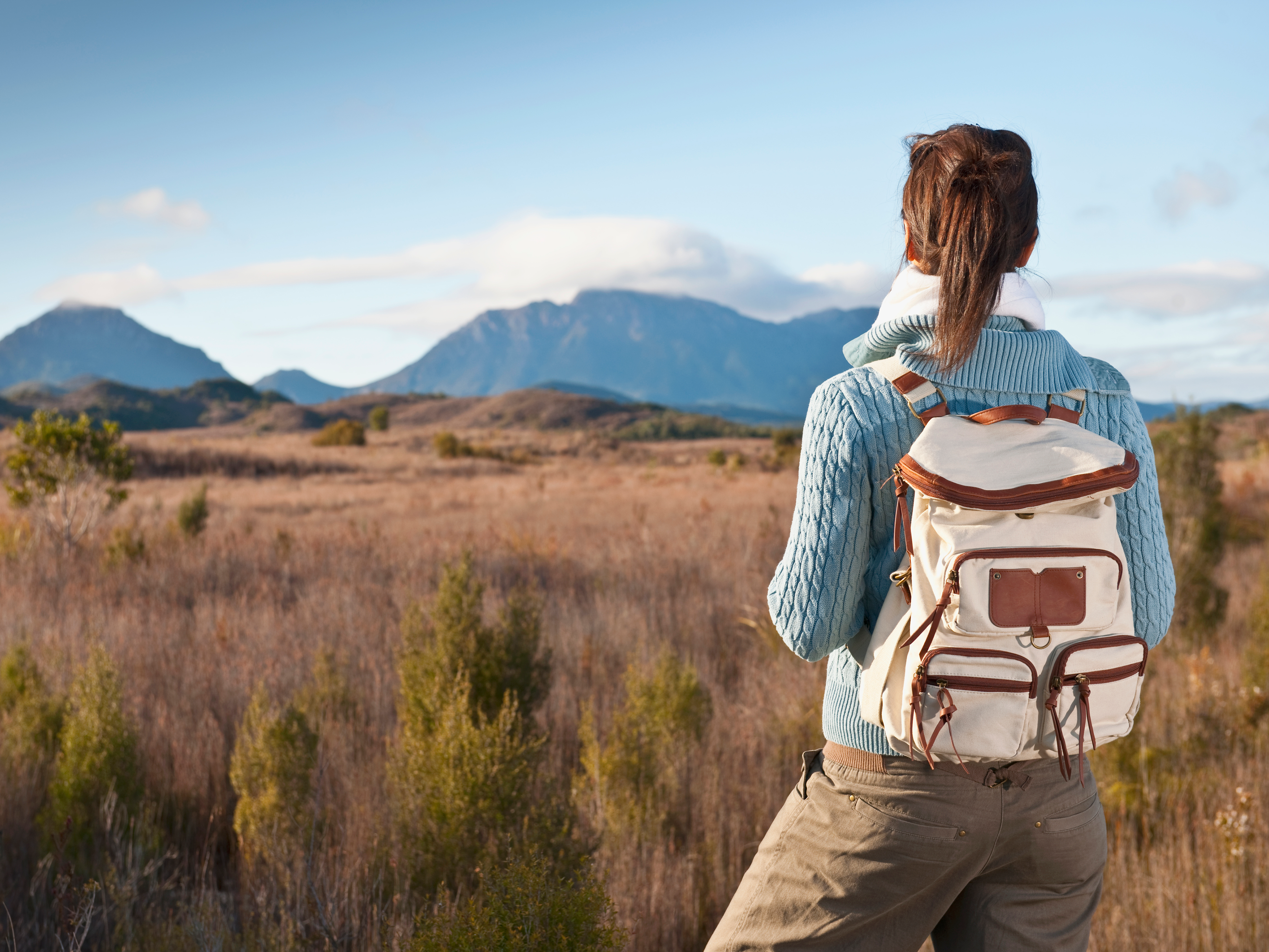Australia is changing its visa rules so backpackers can help rebuild the country in the aftermath of bushfire devastation