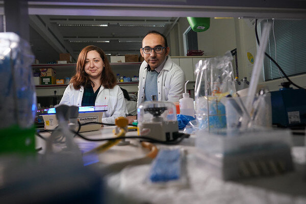 Researchers turn bacterial cell into biological computer