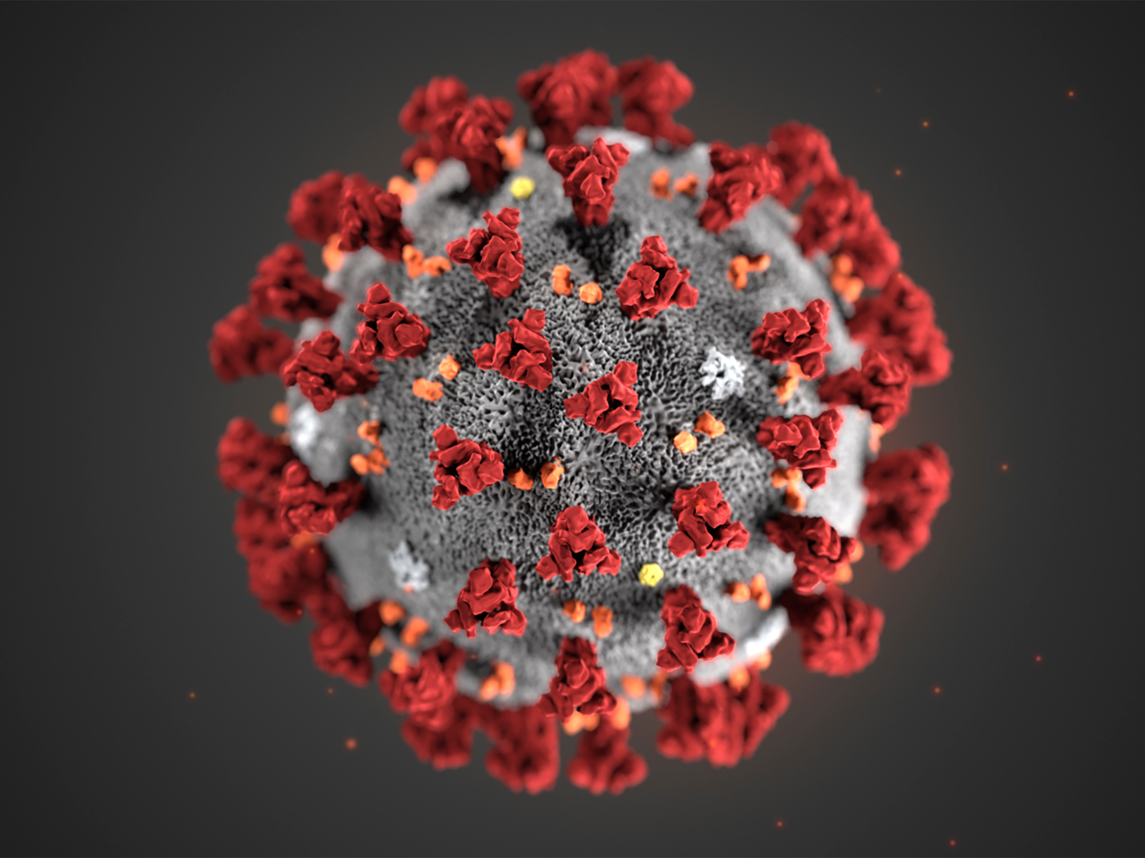 People can get the coronavirus more than once, experts warn — recovering does not necessarily make you immune