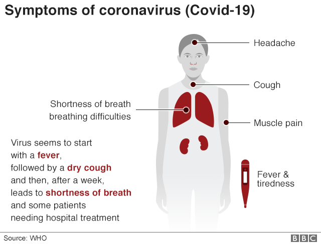 Coronavirus: Nigeria confirms first case in sub-Saharan Africa