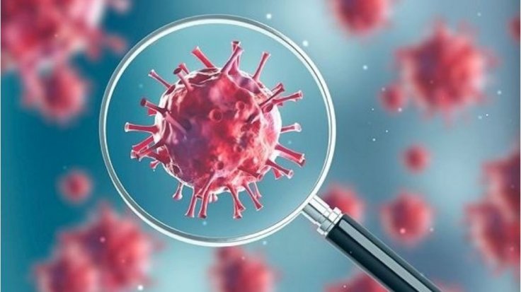 UK to stay in lockdown as deaths due to Coronavirus crosses 11,000