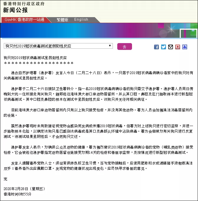 人与动物也传染?香港确诊患者宠物狗测出弱阳性（组图）