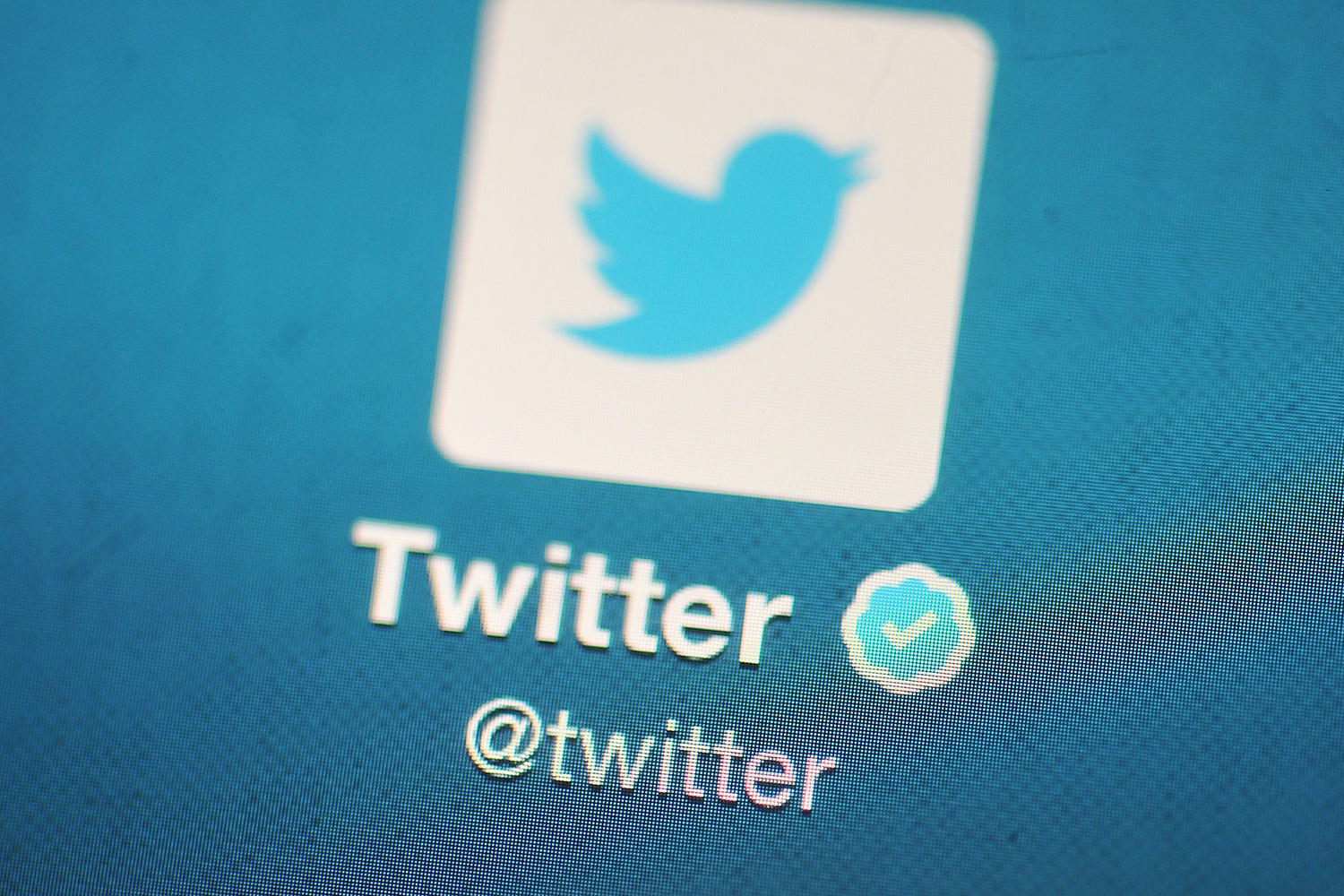 Twitter Verified a Teenager's Account for a Made-Up Politician