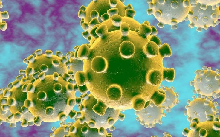 Japan Ends Coronavirus Domestic Travel Restrictions