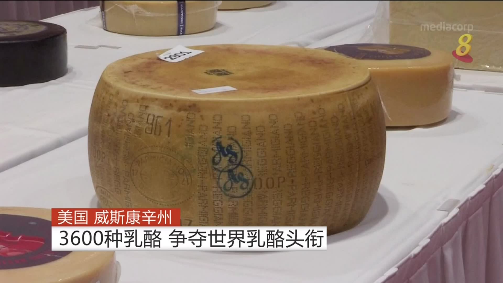 美国威斯康辛州  3600种乳酪争夺世界乳酪头衔
