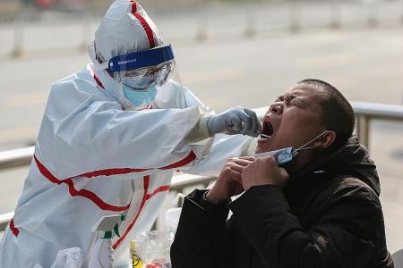 China expert: New infections in Wuhan to drop to zero by month's end