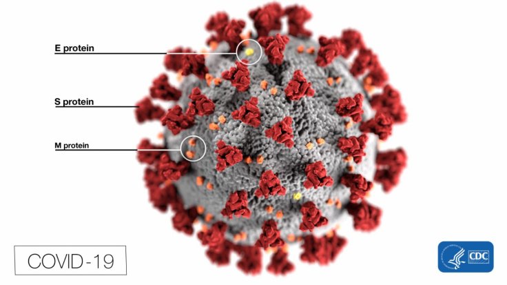 COVID-19 Vaccine May Still Take 12-18 Months to Come: Report