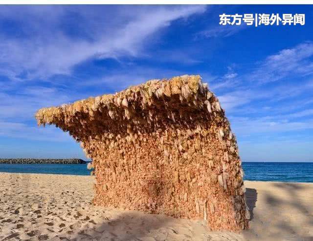 澳洲沙滩上一特殊遮阳墙，建筑材料尤为特殊，游客都不敢在墙下待