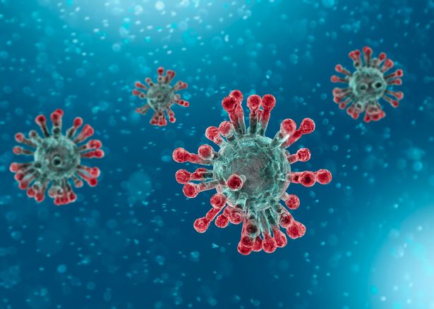 Coronavirus: Experts share what they think the world will look like once lockdown is lifted