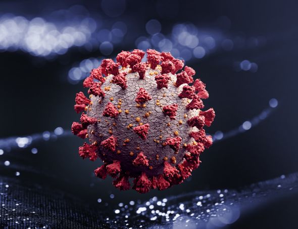 Coronavirus warning: COVID-19 won't be the last as fears 'future outbreaks inevitable'