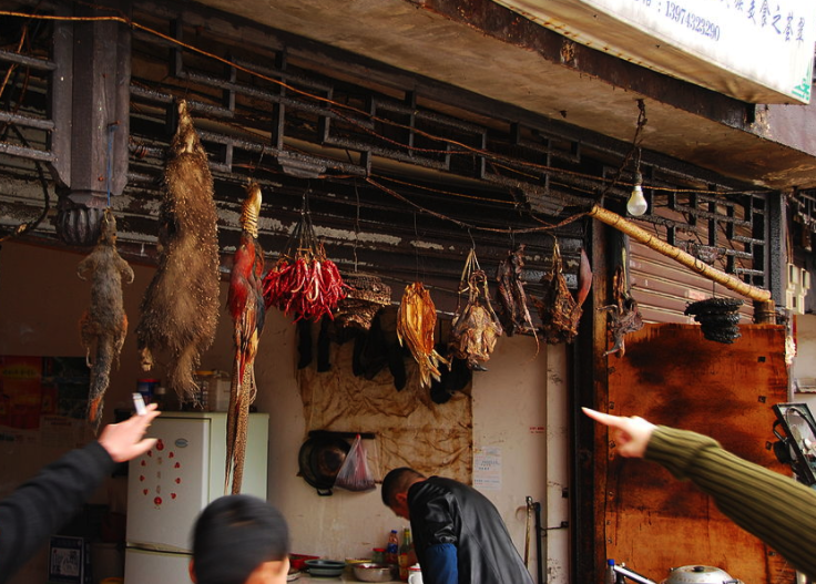 A New China? Wuhan Bans Eating Wild Animals, Offers Cash to Farmers to Stop Breeding