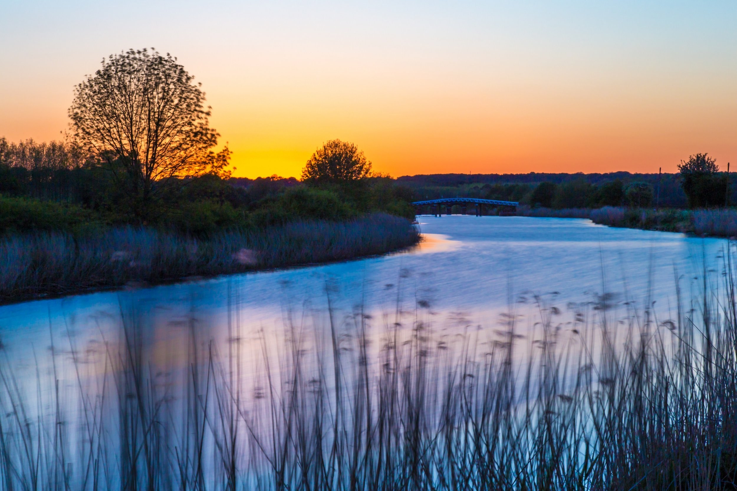 Man, 21, drowns while trying to rescue his dog from a river