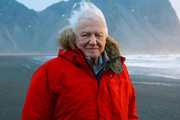 David Attenborough says coronavirus is short-term problem - climate change isn't